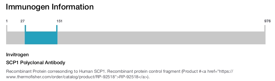SCP1 Polyclonal Antibody