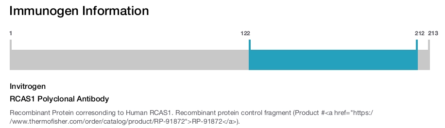 RCAS1 Polyclonal Antibody
