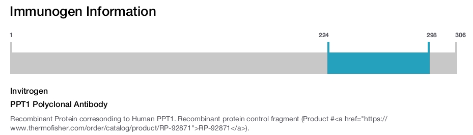 PPT1 Polyclonal Antibody