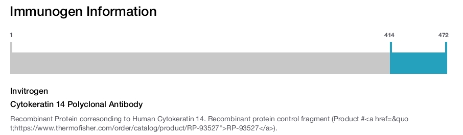 Cytokeratin 14 Polyclonal Antibody