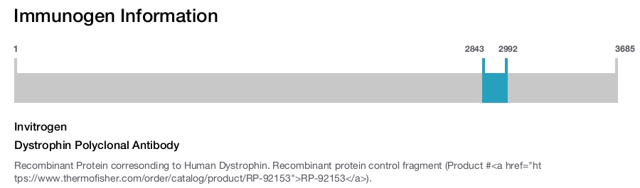 Dystrophin Polyclonal Antibody
