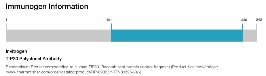 TIP30 Polyclonal Antibody