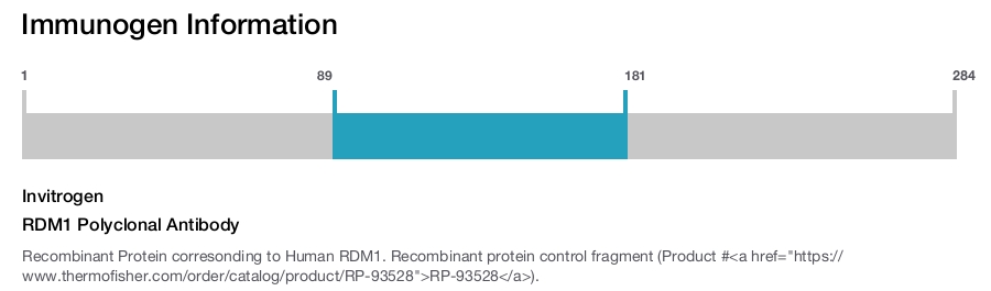 RDM1 Polyclonal Antibody