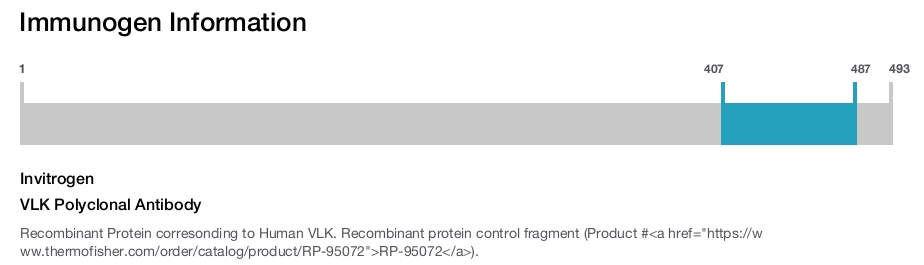VLK Polyclonal Antibody