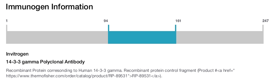 14-3-3 gamma Polyclonal Antibody