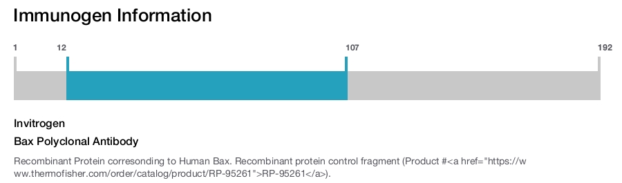 Bax Polyclonal Antibody
