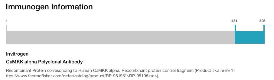 CaMKK alpha Polyclonal Antibody