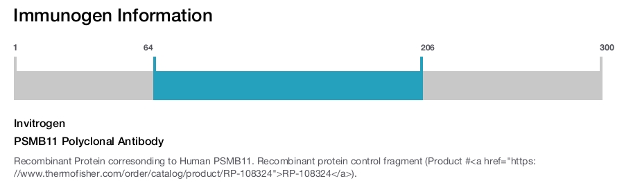 PSMB11 Polyclonal Antibody