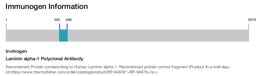 Laminin alpha-1 Polyclonal Antibody