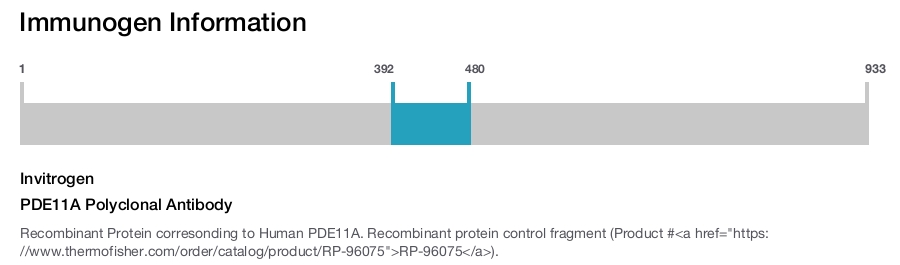 PDE11A Polyclonal Antibody