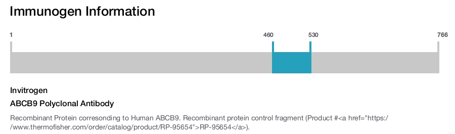ABCB9 Polyclonal Antibody