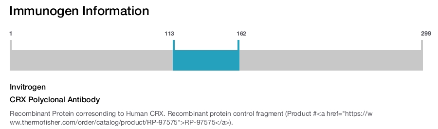 CRX Polyclonal Antibody