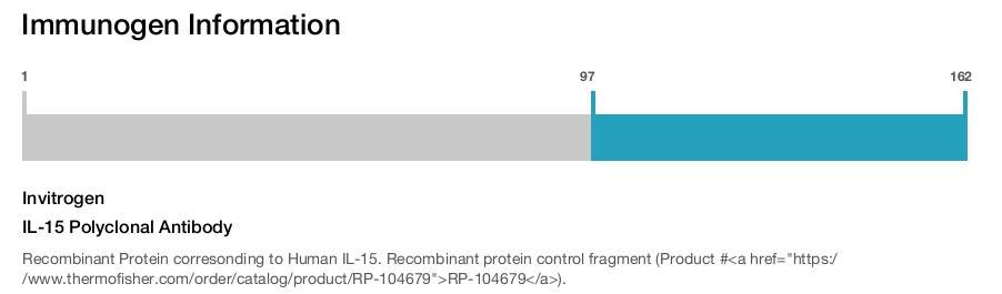 IL-15 Polyclonal Antibody