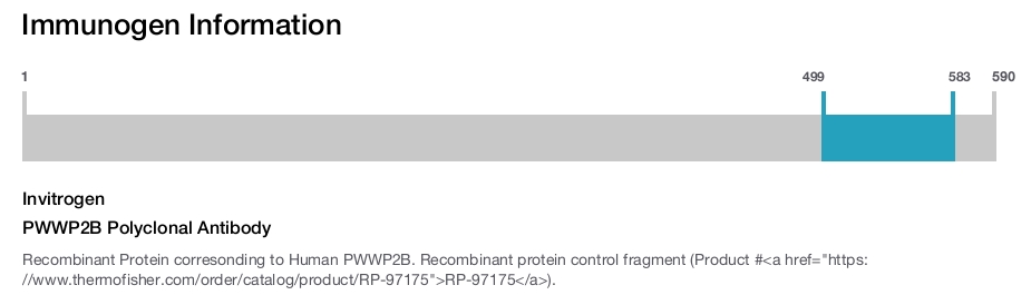 PWWP2B Polyclonal Antibody