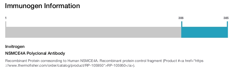 NSMCE4A Polyclonal Antibody