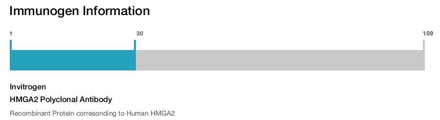 HMGA2 Polyclonal Antibody