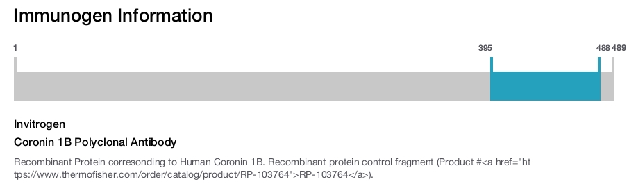 Coronin 1B Polyclonal Antibody