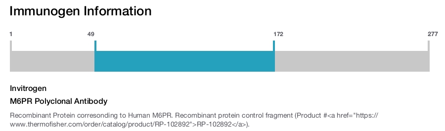 M6PR Polyclonal Antibody