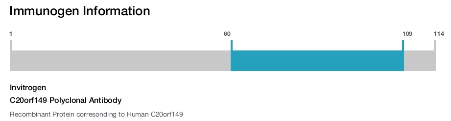 C20orf149 Polyclonal Antibody