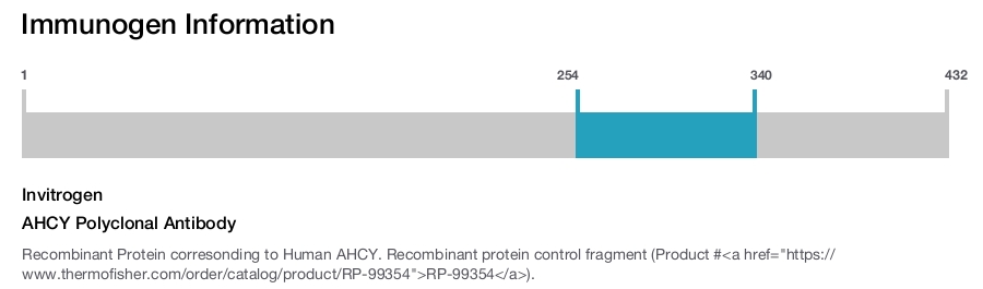 AHCY Polyclonal Antibody