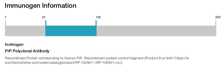 PrP Polyclonal Antibody