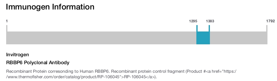 RBBP6 Polyclonal Antibody