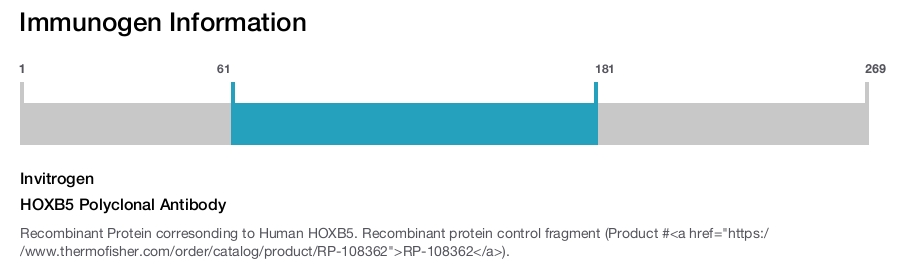 HOXB5 Polyclonal Antibody