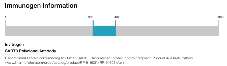 SART3 Polyclonal Antibody