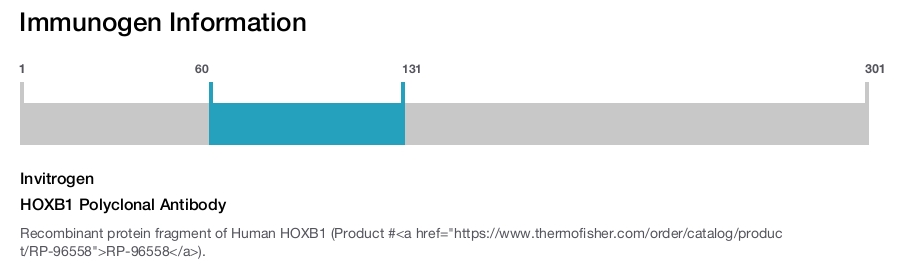 HOXB1 Polyclonal Antibody