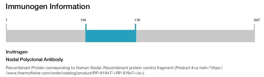 Nodal Polyclonal Antibody