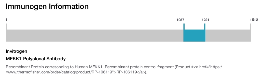 MEKK1 Polyclonal Antibody