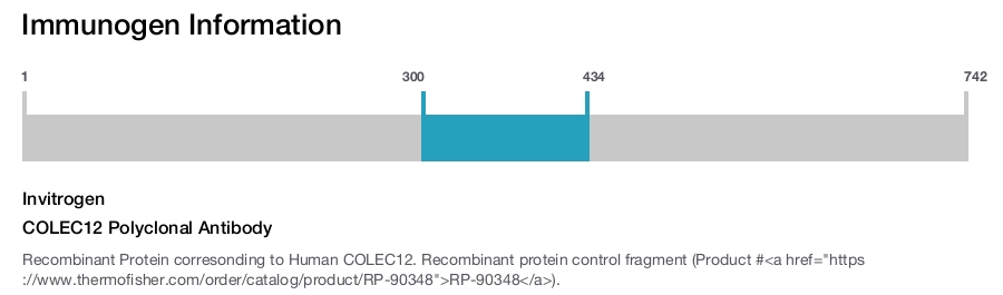 COLEC12 Polyclonal Antibody