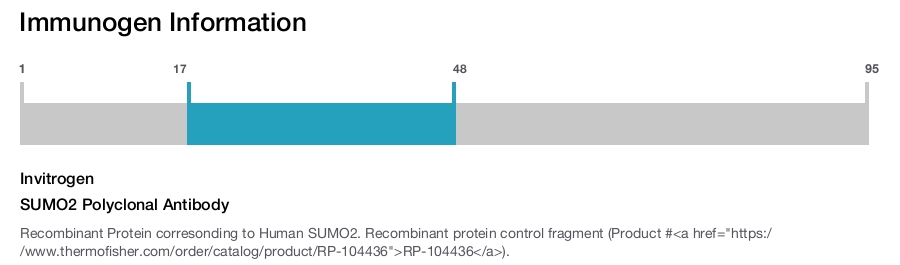 SUMO2 Polyclonal Antibody