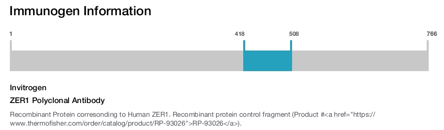 ZER1 Polyclonal Antibody