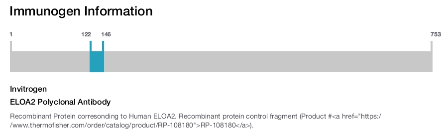 ELOA2 Polyclonal Antibody
