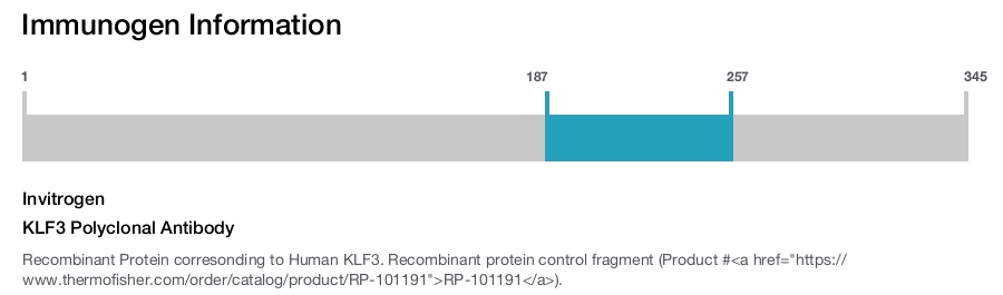 KLF3 Polyclonal Antibody