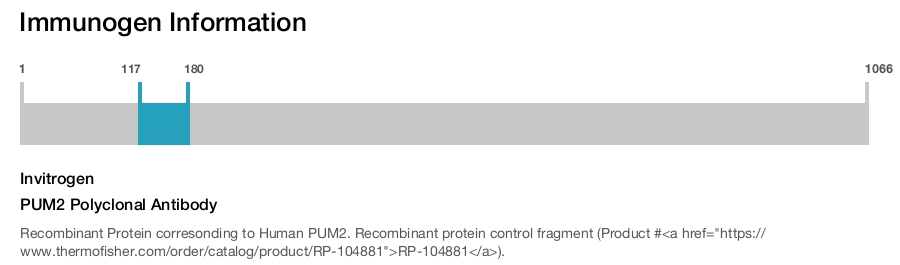 PUM2 Polyclonal Antibody