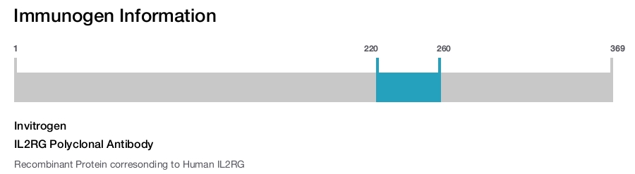 IL2RG Polyclonal Antibody