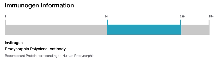 Prodynorphin Polyclonal Antibody