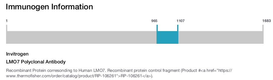 LMO7 Polyclonal Antibody