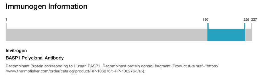 BASP1 Polyclonal Antibody