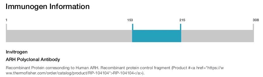 ARH Polyclonal Antibody