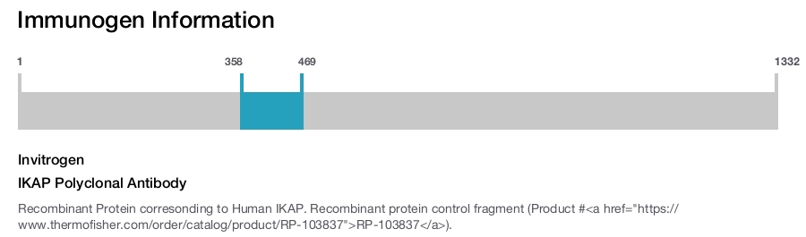 IKAP Polyclonal Antibody