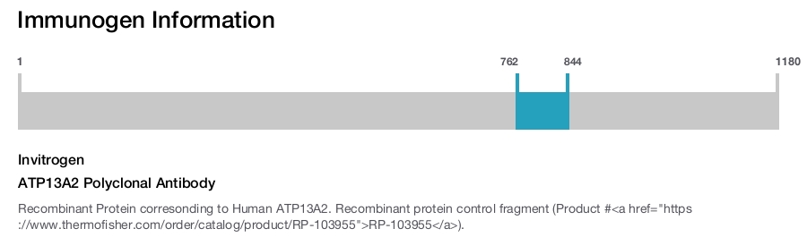 ATP13A2 Polyclonal Antibody