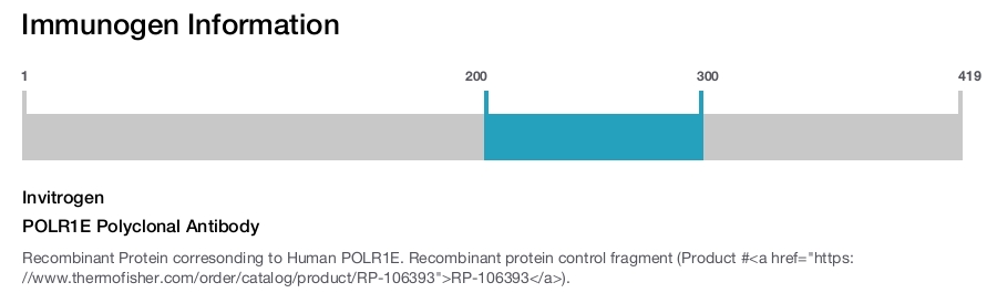 POLR1E Polyclonal Antibody