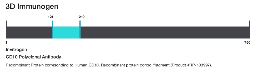 CD10 Polyclonal Antibody