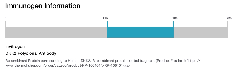 DKK2 Polyclonal Antibody