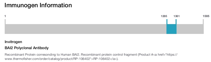 BAI2 Polyclonal Antibody