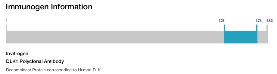 DLK1 Polyclonal Antibody