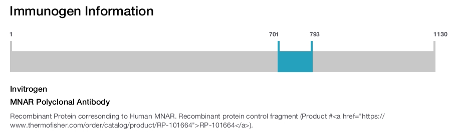 MNAR Polyclonal Antibody